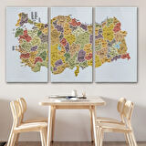 İl ve İlçe Detaylı Eğitici Öğretici Türkiye Haritası Dekoratif Kanvas Tablo, Duvar Dekoru 3042