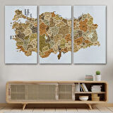 Eğitici İl ve İlçe Detaylı Türkiye Haritası, Harita Dekoratif Kanvas Tablo, Duvar Dekoru 3048