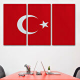 Yağlıboya Görünüm Şanlı Türk Bayrağı Dekoratif Kanvas Tablo, Duvar Dekoru 3668