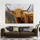 Amerikan İneği Dekoratif Kanvas Tablo, Duvar Dekoru 5156