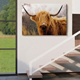 Amerikan İneği Dekoratif Kanvas Tablo, Duvar Dekoru 5156