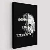 Einstein Dünden Öğrenin Bugünü Yaşayın Yarını Umut Edin Dekoratif Kanvas Tablo 5275