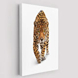 Vahşi Leopar Hayvan Temalı Dekoratif Kanvas Tablo, Duvar Dekoru 5957