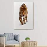 Vahşi Leopar Hayvan Temalı Dekoratif Kanvas Tablo, Duvar Dekoru 5957