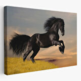 Şahlanan Siyah At Dekoratif Kanvas Tablo, Duvar Dekoru 6613