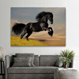 Şahlanan Siyah At Dekoratif Kanvas Tablo, Duvar Dekoru 6613