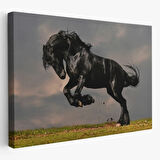 Şahlanan Siyah At Dekoratif Kanvas Tablo, Duvar Dekoru 6620