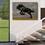 Şahlanan Siyah At Dekoratif Kanvas Tablo, Duvar Dekoru 6620