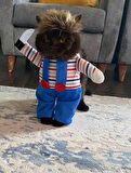 Katil Bebek Chucky Kedi Kostümü