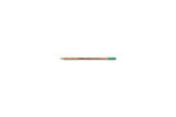 Supertrend Rembrandt Polycolor Kuru Boya Kalemi TRUE GREEN