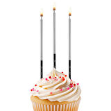 Metalik Siyah Gümüş Doğum Günü Mumu