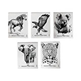 PP Kapak Resim Defteri 12li 25x35