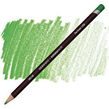 Supertrend Coloursoft Pencil Yumuşak Kuruboya Kalemi C430 Pea Green