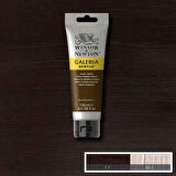Supertrend Galeria Akrilik Boya 120 ml. 076 Burnt Umber