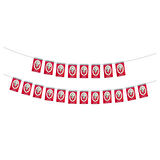 Ata Mini Boy İpli Bayrak 50'li