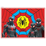Spider Boyama Aktiviteli Parti Sunumu 8li