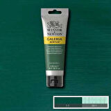 Supertrend Galeria Akrilik Boya 120 ml. 482 Permanent Green Deep