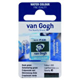 Supertrend Van Gogh 1/2 Tablet Sulu Boya 630 Dusk Green