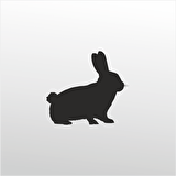 Folyo Sticker Tavşan