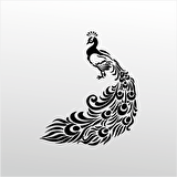 Folyo Sticker Tavuz Kuşu