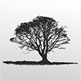 Folyo Sticker Ağaç