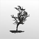 Folyo Sticker Ağaç