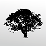 Folyo Sticker Ağaç