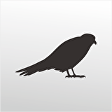 Folyo Sticker Arı Kuşu