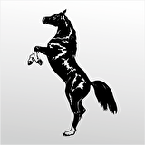 Folyo Sticker At