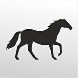 Folyo Sticker At