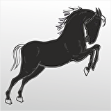 Folyo Sticker At
