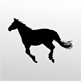 Folyo Sticker At