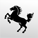 Folyo Sticker At