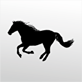 Folyo Sticker At
