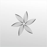 Folyo Sticker Çiçek Deseni