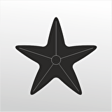 Folyo Sticker Deniz Yıldızı