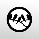 Folyo Sticker Kargalar