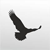 Folyo Sticker Kartal