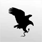 Folyo Sticker Kartal