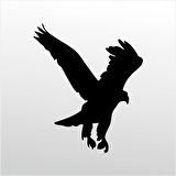 Folyo Sticker Kartal