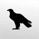 Folyo Sticker Kartal