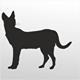 Folyo Sticker Kedi