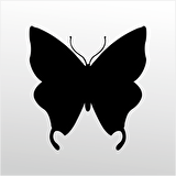 Folyo Sticker Kelebek