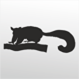 Folyo Sticker Kokarca