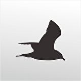 Folyo Sticker Martı