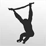 Folyo Sticker Maymun