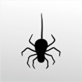 Folyo Sticker Örümcek