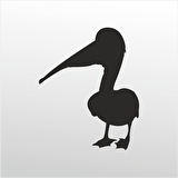 Folyo Sticker Pelikan