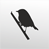 Folyo Sticker Serçe