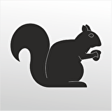 Folyo Sticker Sincap